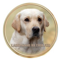 Labradorský retriever