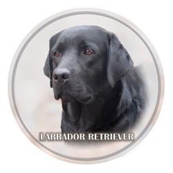 Labradorský retriever