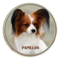 Pappilion