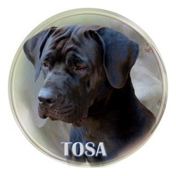 Tosa