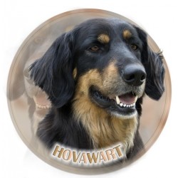 Hovawart