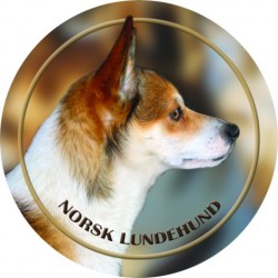 Norský lundehund