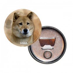 Shiba-Inu