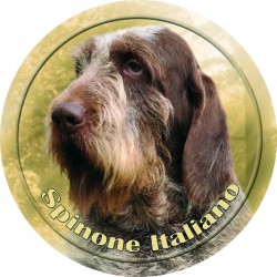 Italský spinone