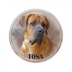 Tosa-Inu