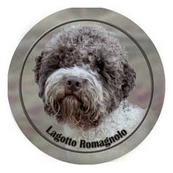 Lagotto romagnolo