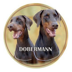 Doberman